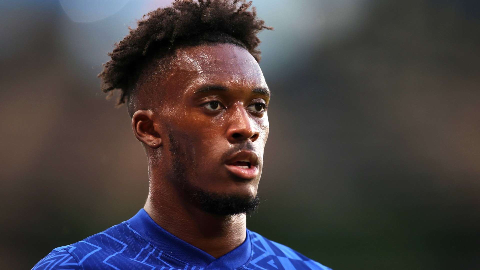 生涯延续提 生涯延续提