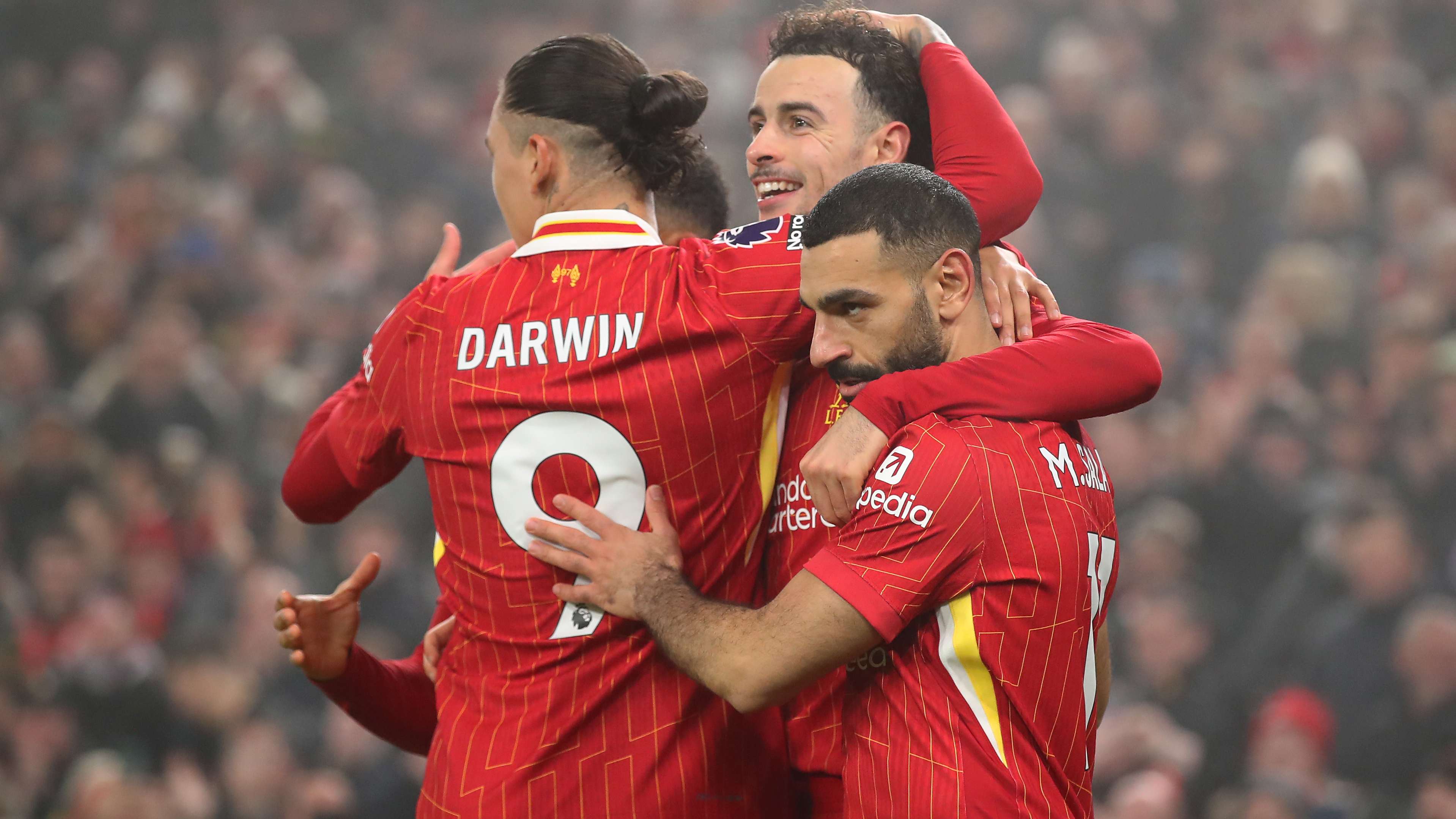 这些联赛因 这些联赛因